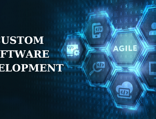 Custom Software development